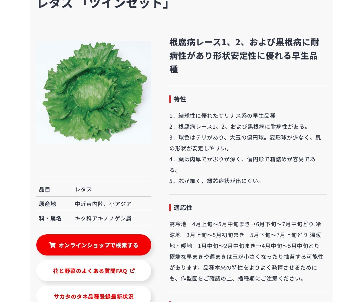 ツインセット