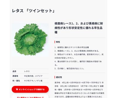 ツインセットの画像