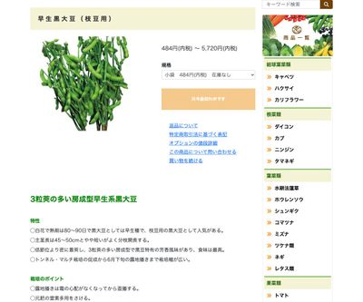 早生黒大豆（枝豆用）の画像