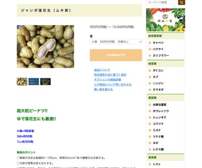 ジャンボ落花生（ムキ実）の画像