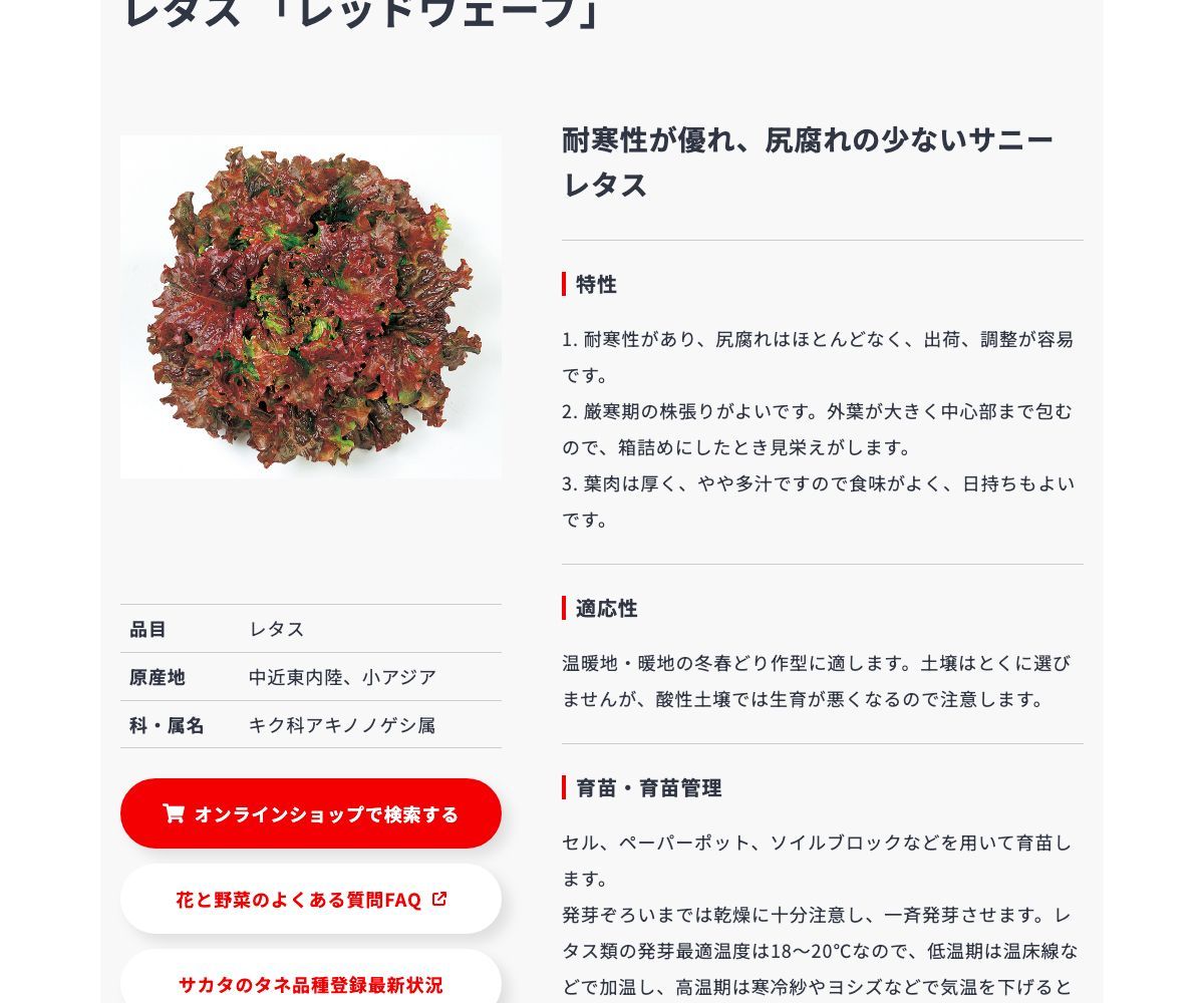 レッドウェーブ