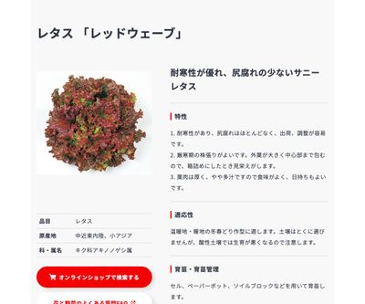 レッドウェーブの画像