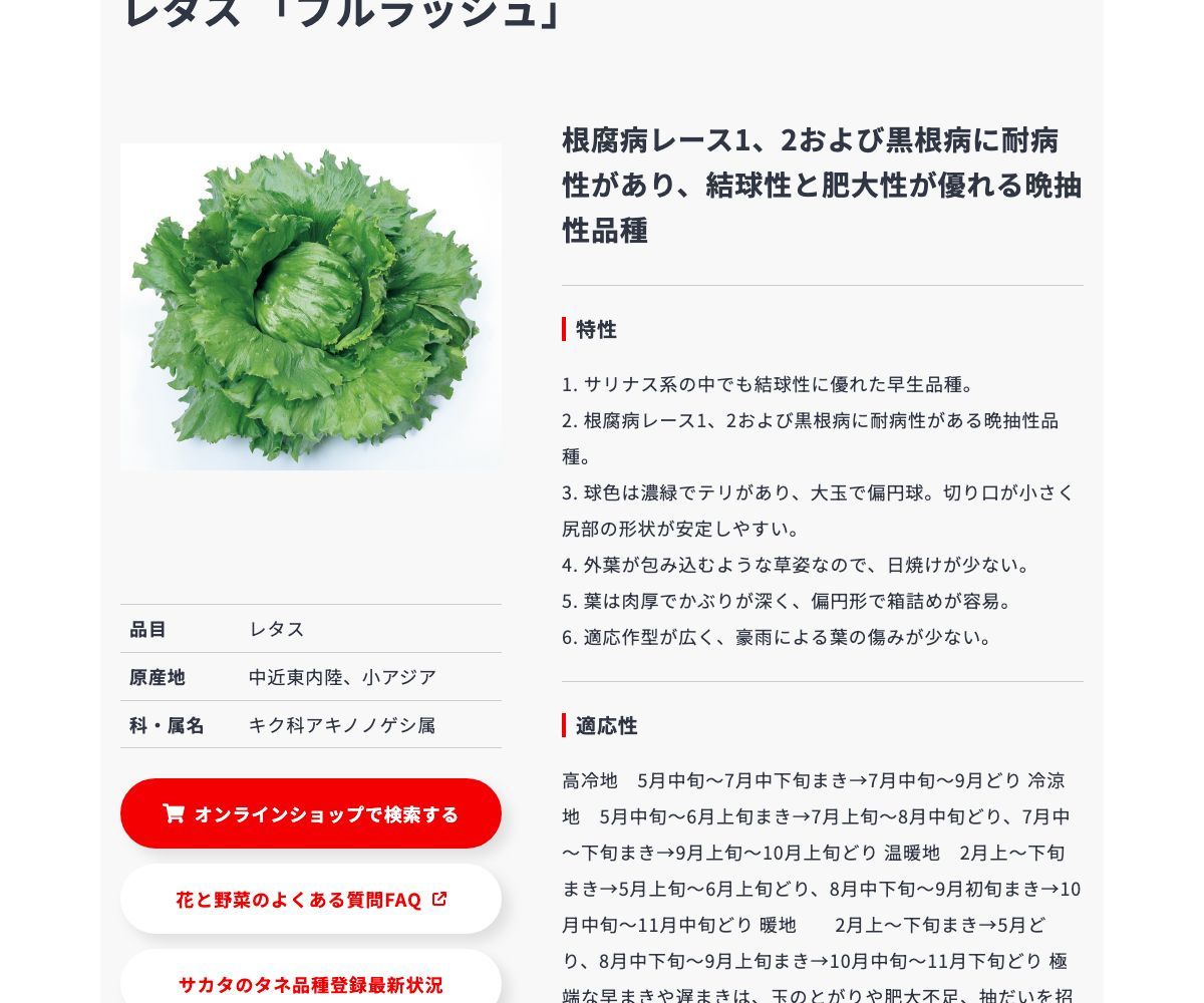 ブルラッシュ