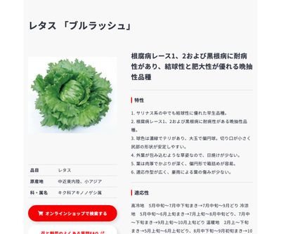 ブルラッシュの画像