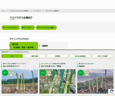 ゼンユウメーデルの画像