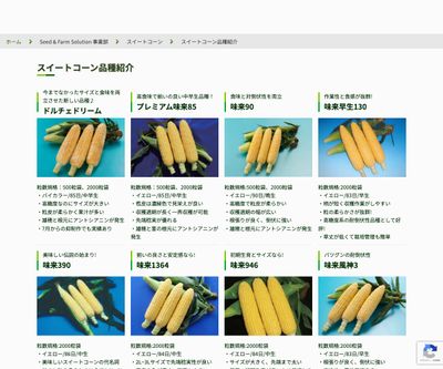 ドルチェドリームの画像