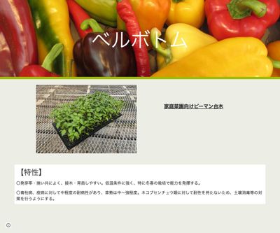 ベルボトムの画像