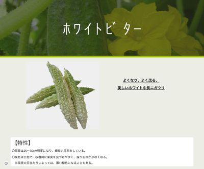 ホワイトビターの画像