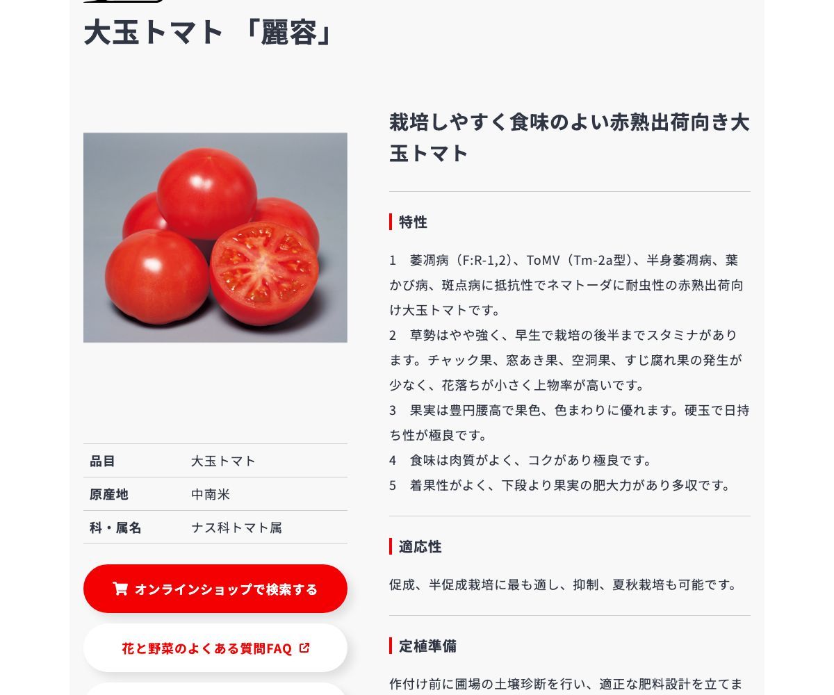 麗容