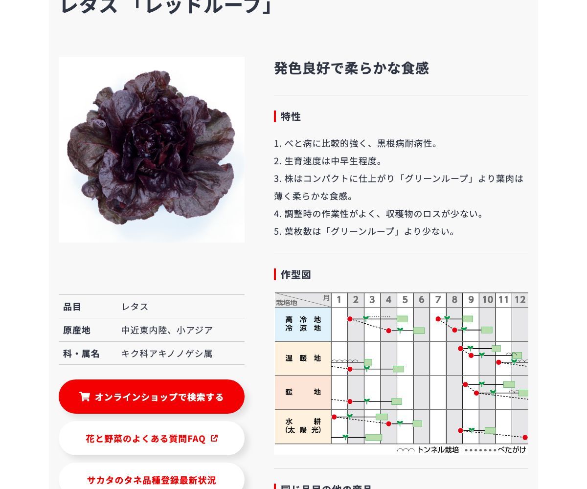 レッドループ