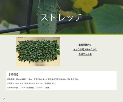 ストレッチの画像