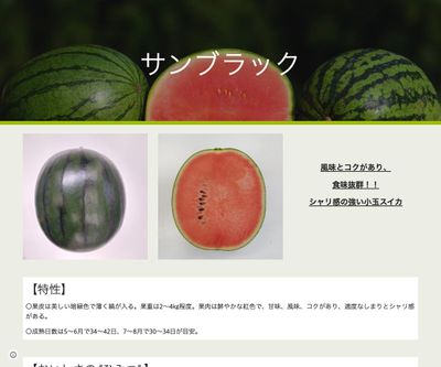 サンブラックの画像