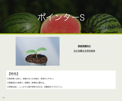 ポインターSの画像