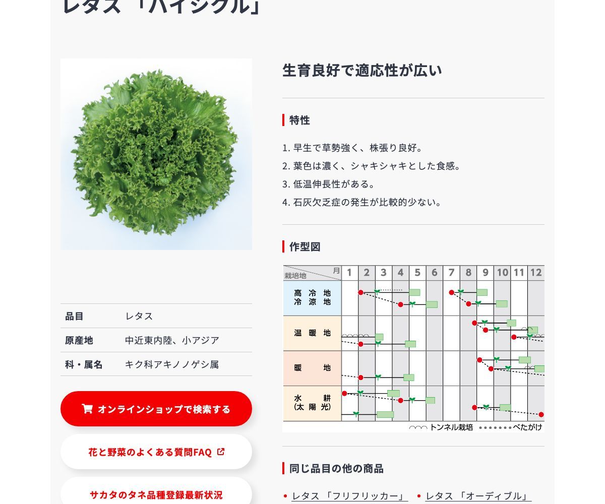 バイシクル