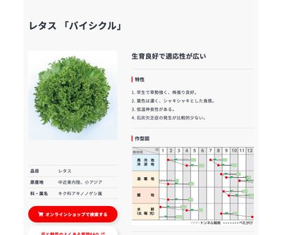 バイシクルの画像