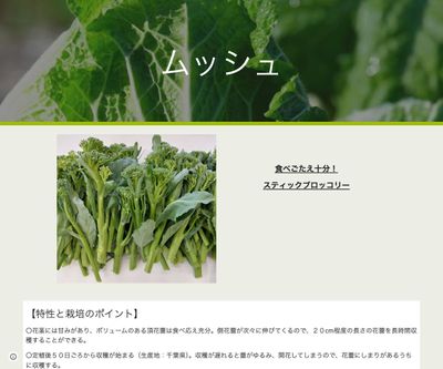 ムッシュの画像