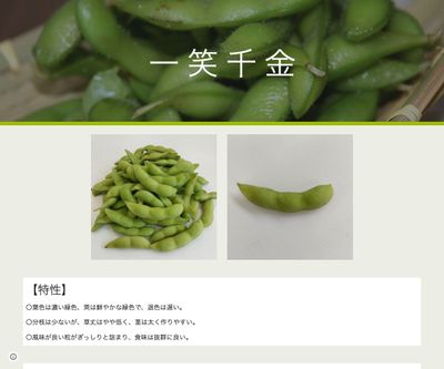 一笑千金の画像