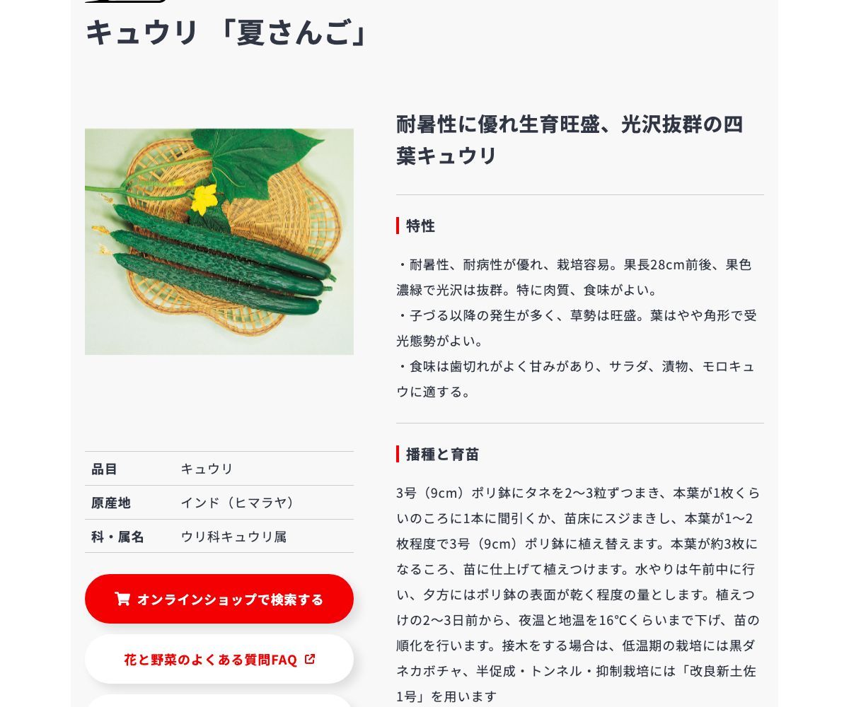 夏さんご