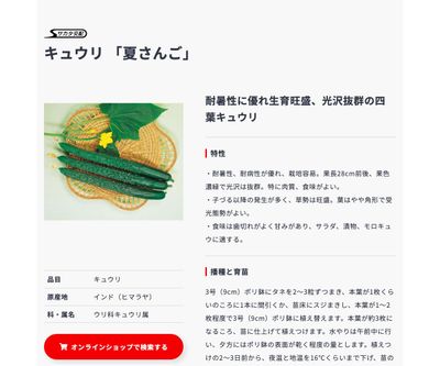 夏さんごの画像