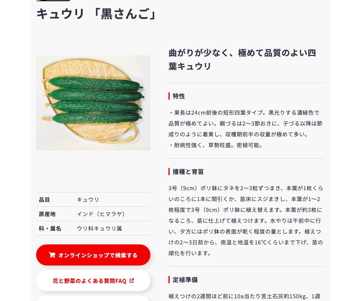 黒さんご
