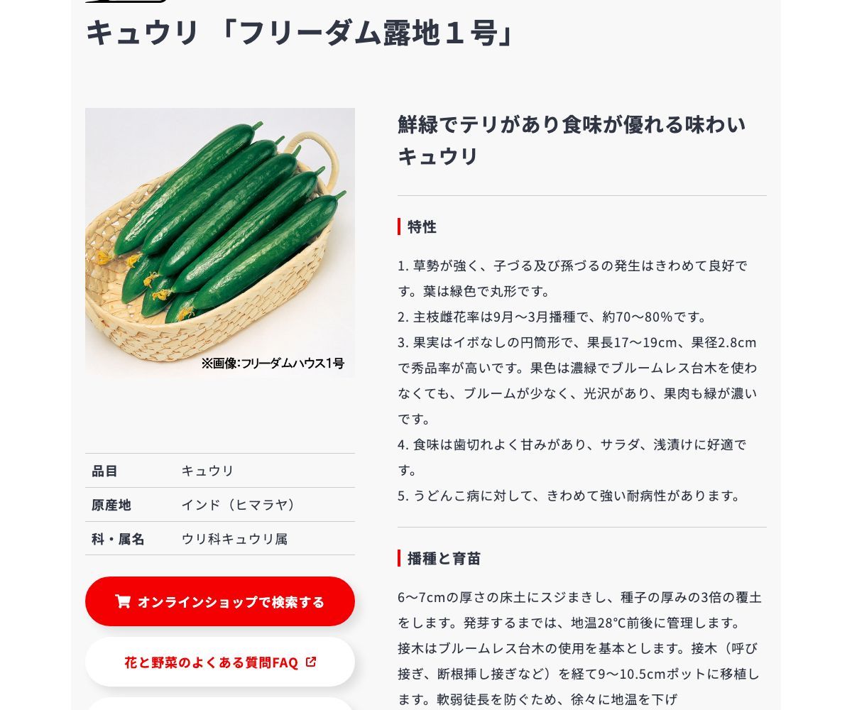 フリーダム露地1号