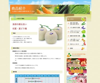 ベネチア春Ⅱの画像