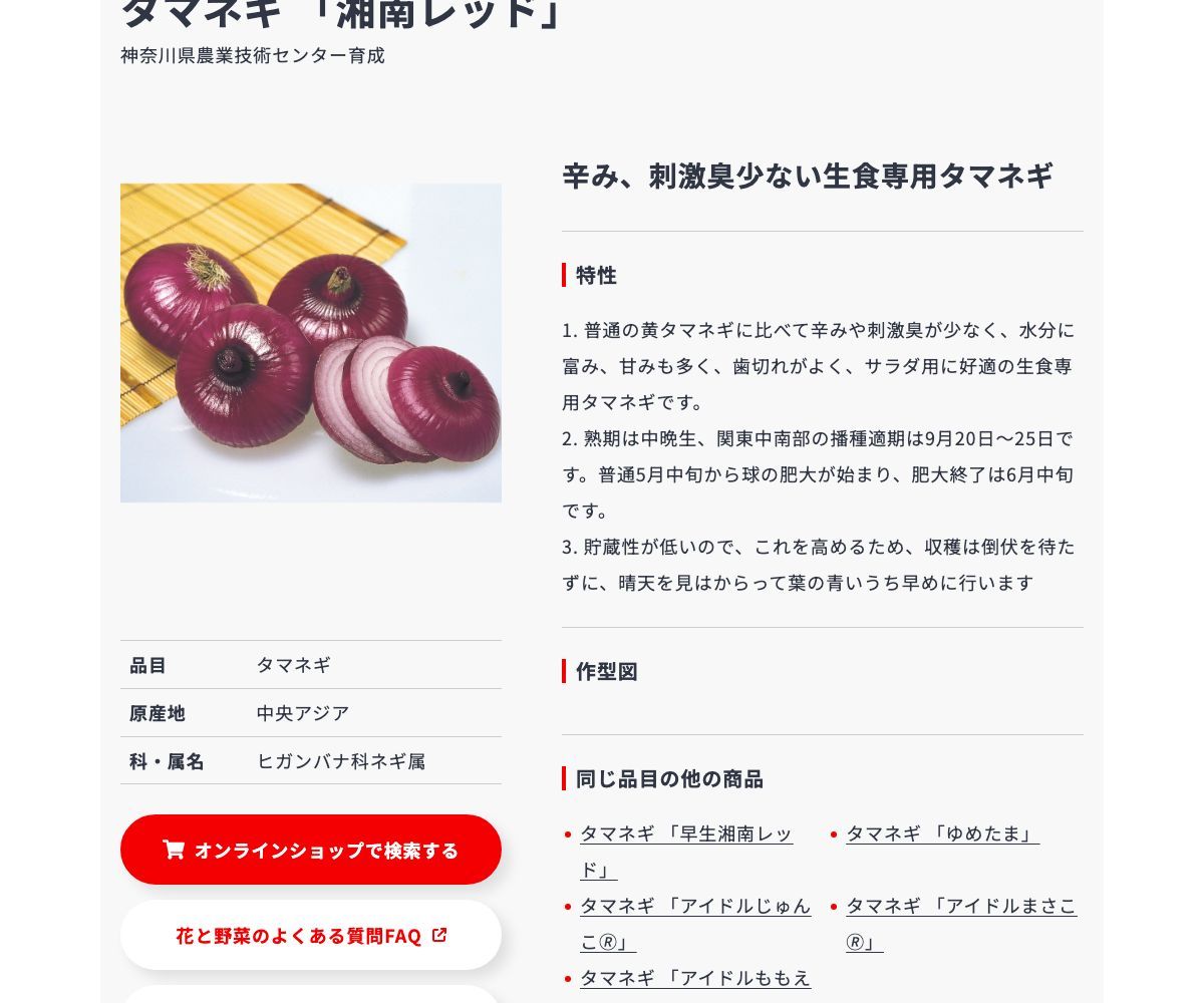 湘南レッド