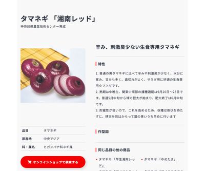 湘南レッドの画像