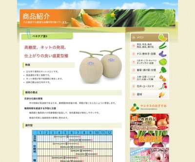 ベネチア夏Ⅱの画像