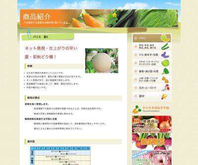 パリス 夏Ⅱの画像