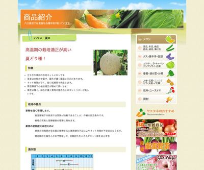 パリス 夏Ⅲの画像