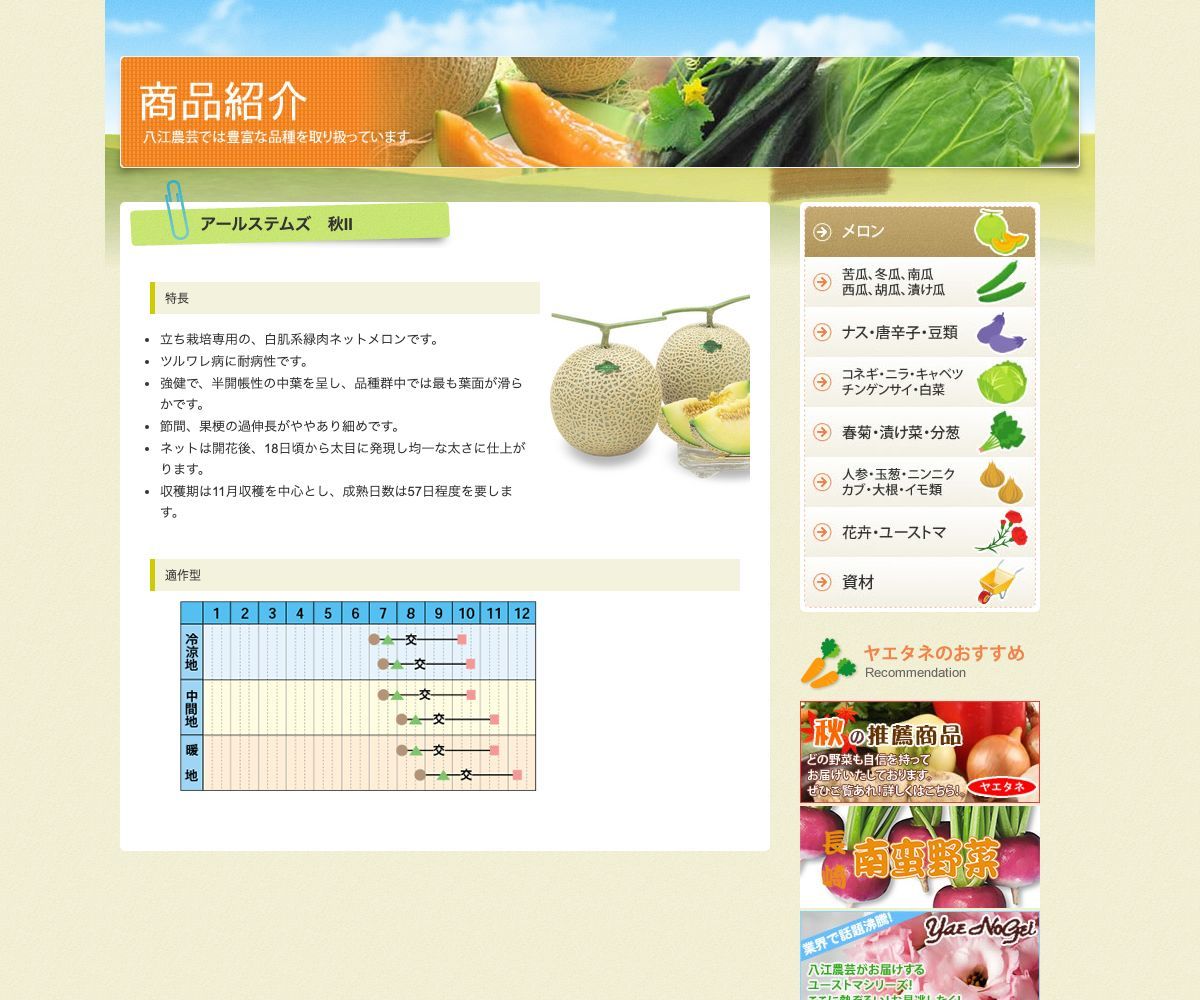 アールステムズ 秋Ⅱ