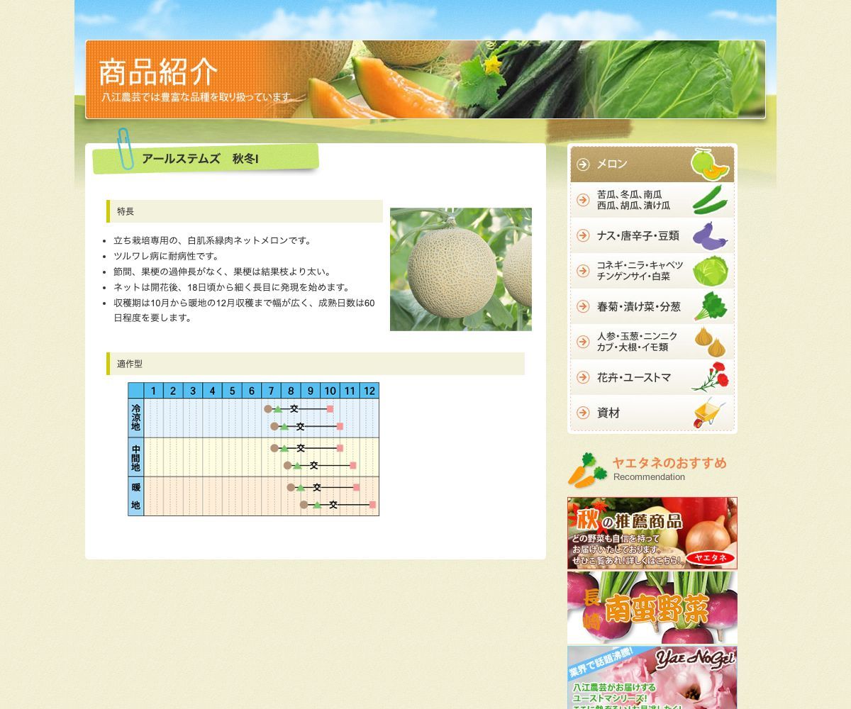 アールステムズ 秋冬Ⅰ