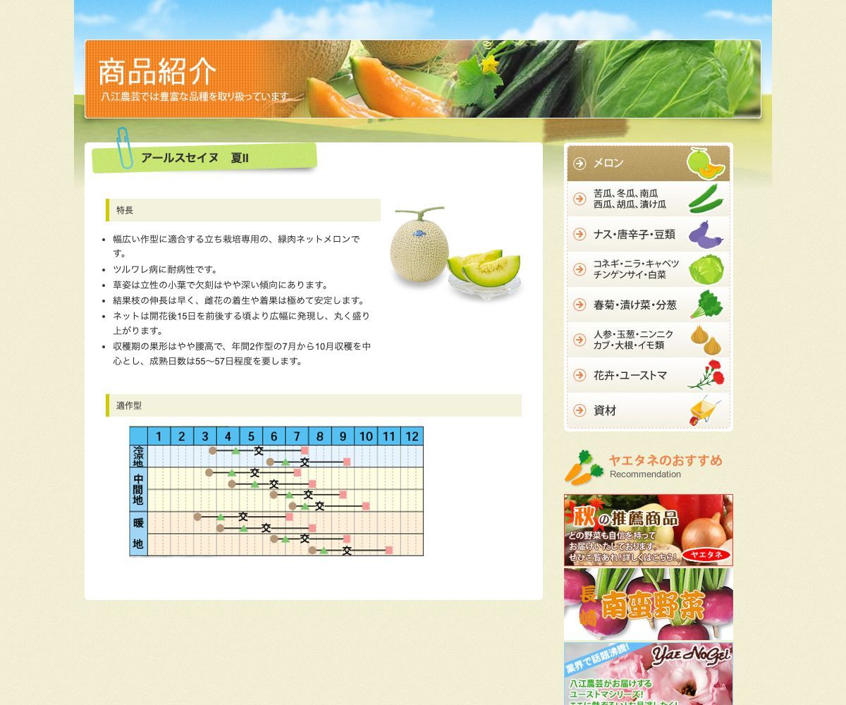 アールスセイヌ 夏Ⅱ