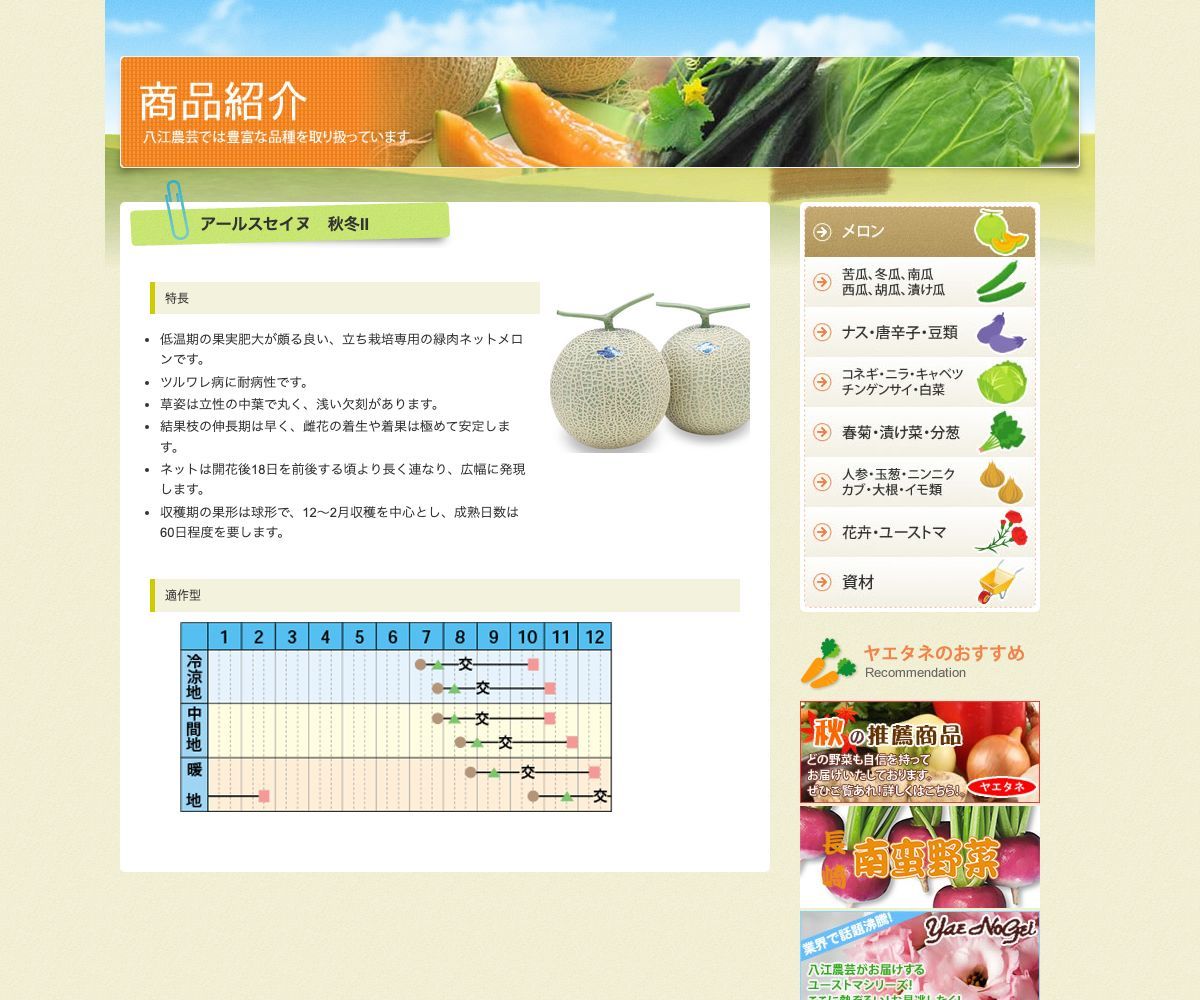 アールスセイヌ 秋冬Ⅱ