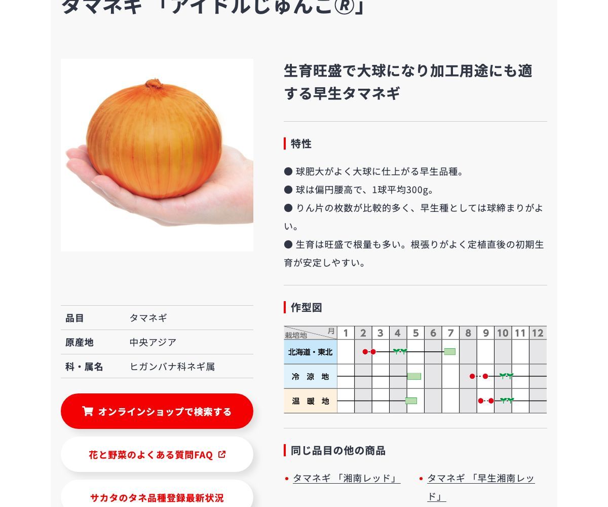 アイドルじゅんこ🄬