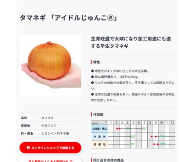 アイドルじゅんこ🄬の画像