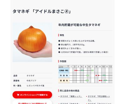 アイドルまさこ🄬の画像