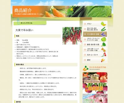 ホットパラソルの画像