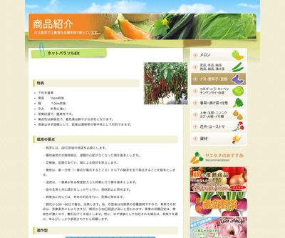 ホットパラソルEXの画像