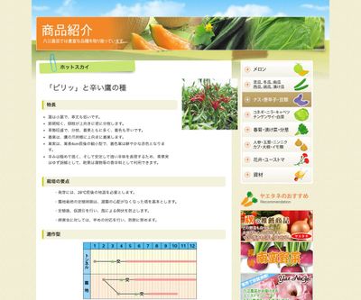 ホットスカイの画像