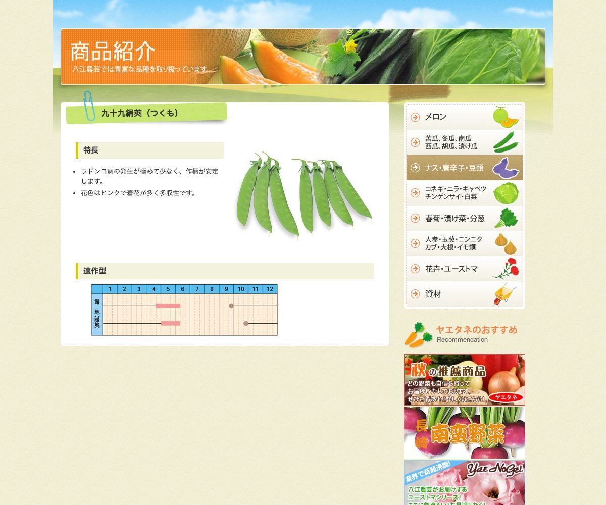 九十九絹莢（つくも）