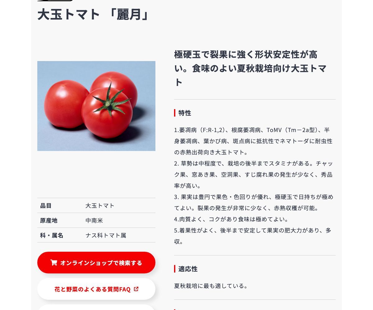 麗月