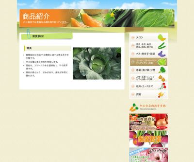 菜食家EXの画像