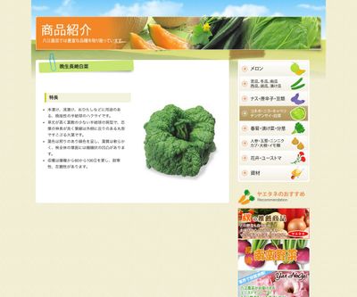 晩生長崎白菜の画像