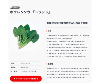 トラッドの画像