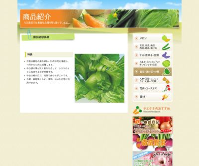 雲仙結球高菜の画像