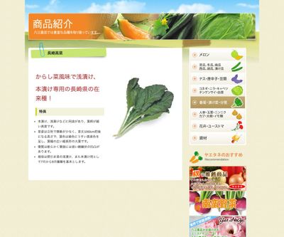 長崎高菜の画像