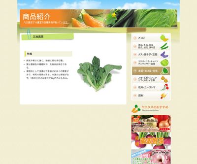 三池高菜の画像