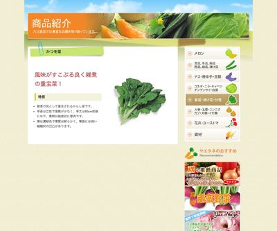 かつを菜の画像